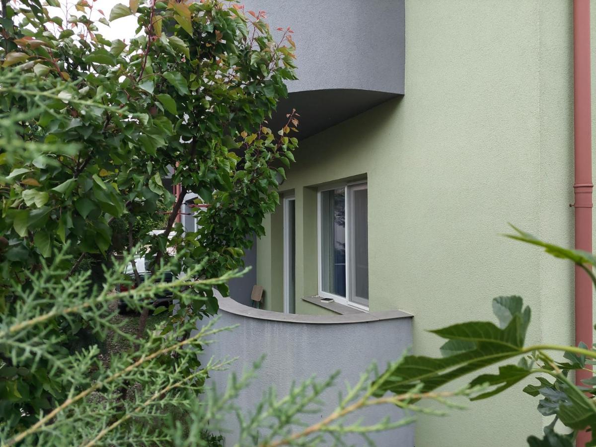 Mateski Guest House Ohrid Exterior foto