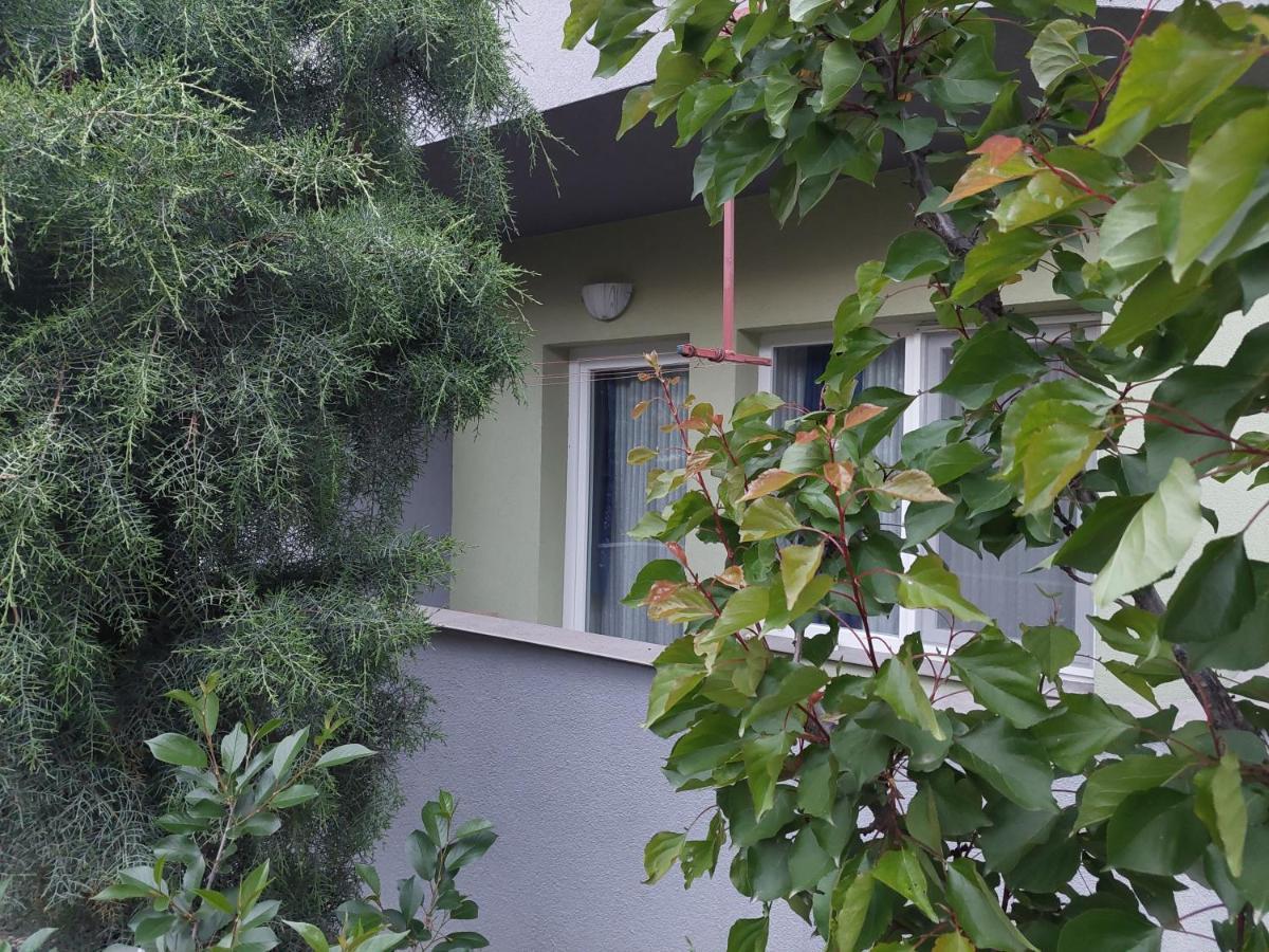 Mateski Guest House Ohrid Exterior foto